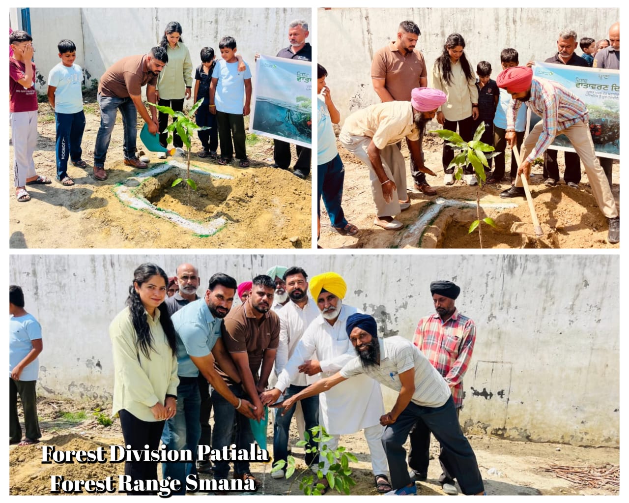 Forest Department celebrated World Environment Day.